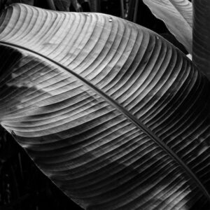 dialoghi-silenziosi-3