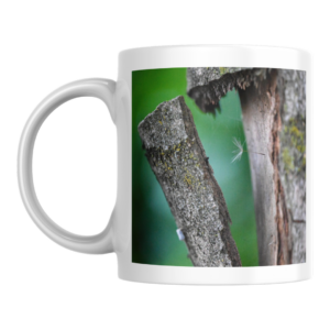 tazza-template-copy-11