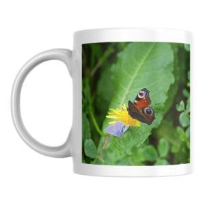 tazza-template-copy-copy-11